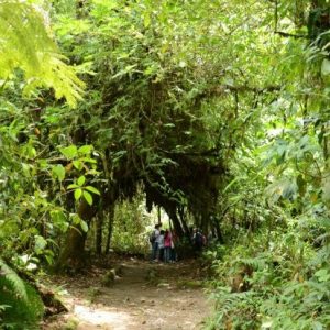 Día Mundial del Clima