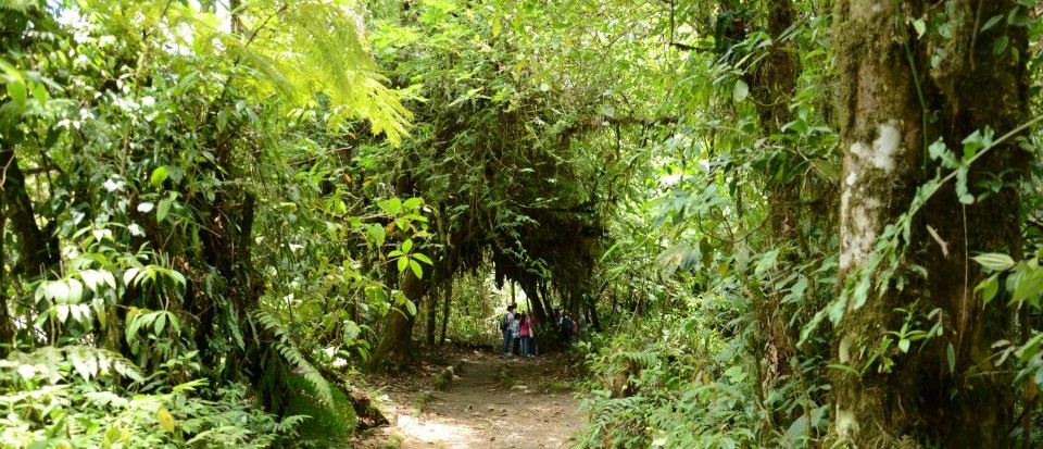 Día Mundial del Clima