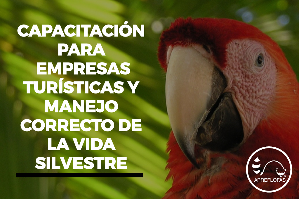 Manejo correcto de la vida silvestre