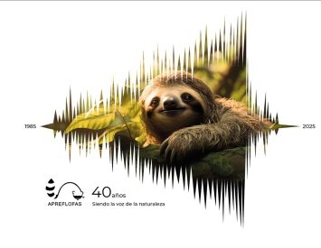 Perezoso sobre una rama dentro de una onda sonora, imagen de los 40 años de APREFLOFAS