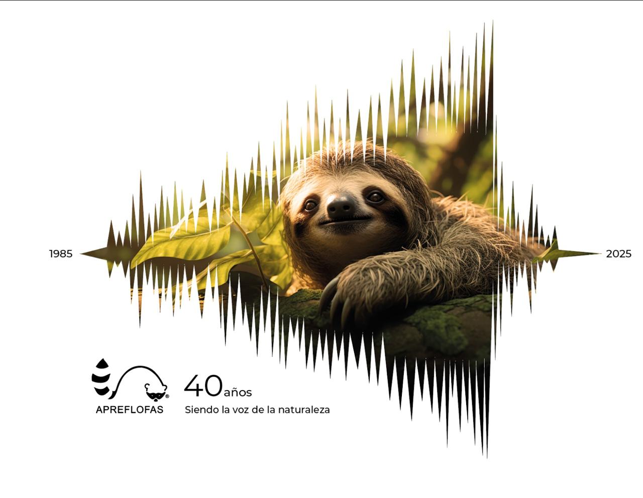 Perezoso sobre una rama dentro de una onda sonora, imagen de los 40 años de APREFLOFAS