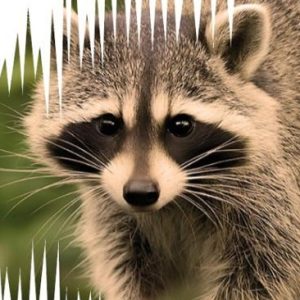 Día Internacional de la Madre Tierra